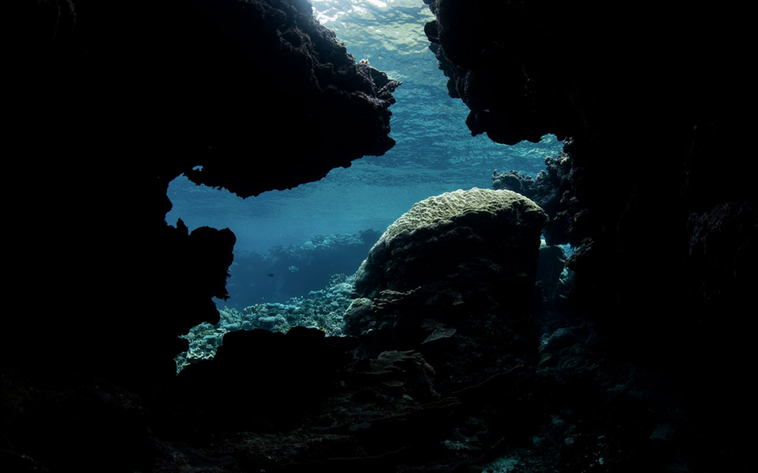 Muted Markets and More Volatility