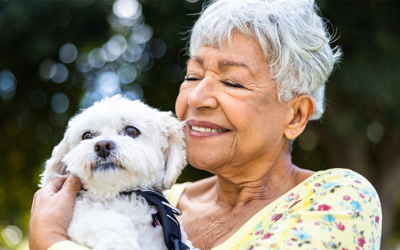 Five Items Often Overlooked in a Will