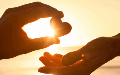 Have You Built Charity and Philanthropy Into Your Estate Plan?