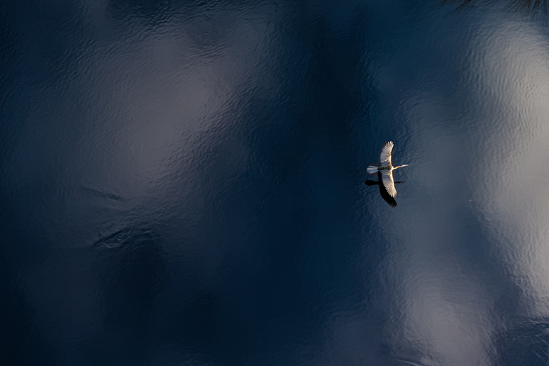 I’ll Be Gone Anyway, so Why Plan my Funeral?