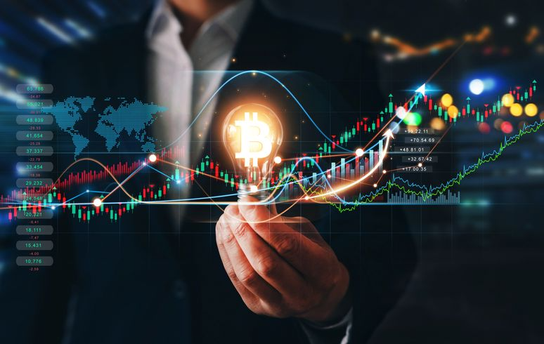 Is cryptocurrency for investors or speculators?